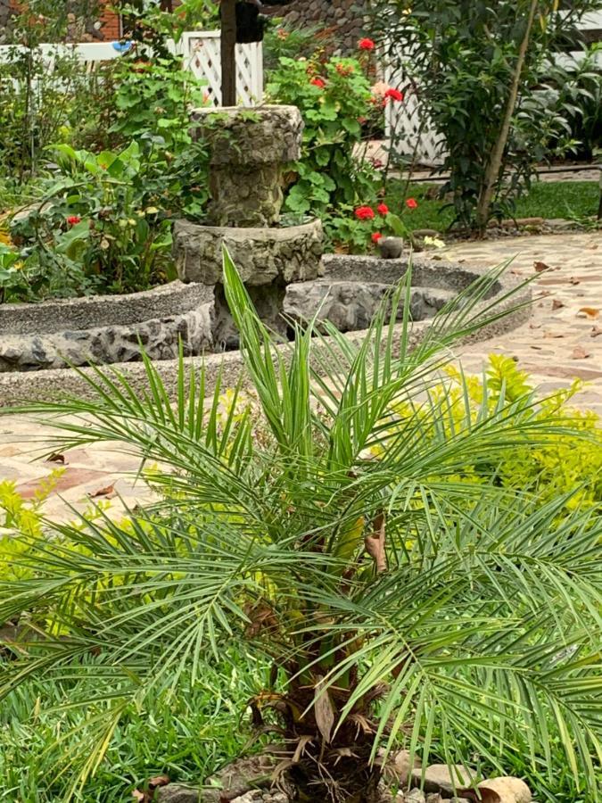 Cabanas De Tzununá المظهر الخارجي الصورة